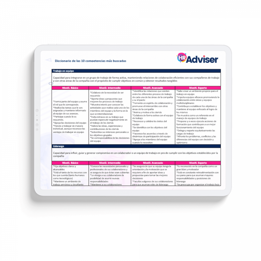 Diccionario de Competencias - Image 2
